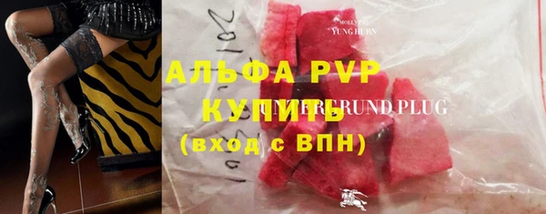 сатива Армянск