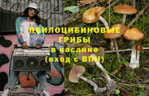 сатива Армянск