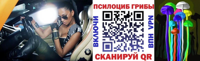 Псилоцибиновые грибы Psilocybine cubensis  хочу   блэк спрут маркетплейс  Малоярославец 