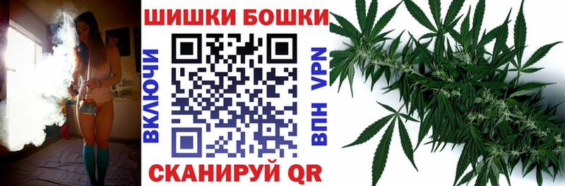 дарнет шоп Малоярославец Канабис семена